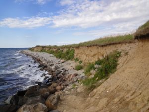 120810, fredag -udflugt til fyret (4)