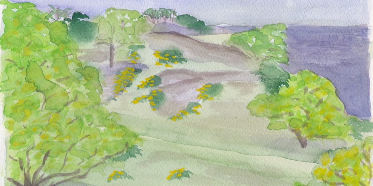 Æggeblommegul gyvel lyser på japansk