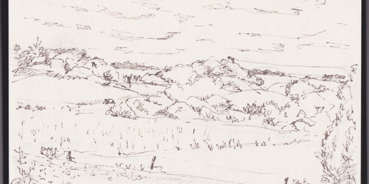 Nyt fra skitseblokken – 22. juli -16