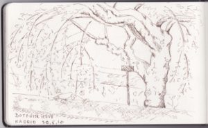 Botanisk Have, Madrid