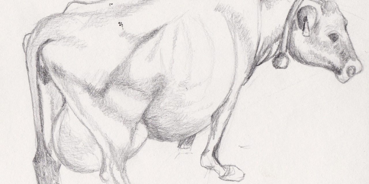 Helnæs – komaleren og rørpennen