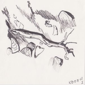 helnæs, kvist og skaller