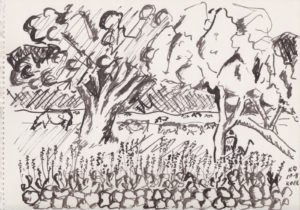 helnæs, køer på græs