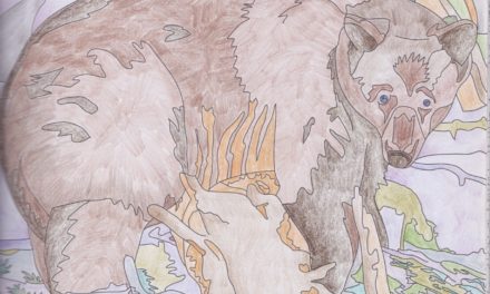 Malebøger – terapi eller afslapning?