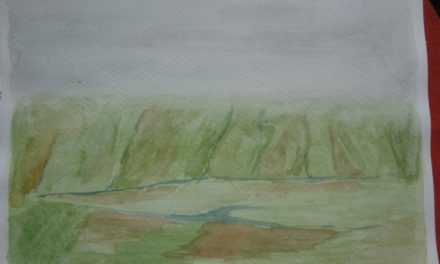 Lave skyer og grønt, grønt, grønt