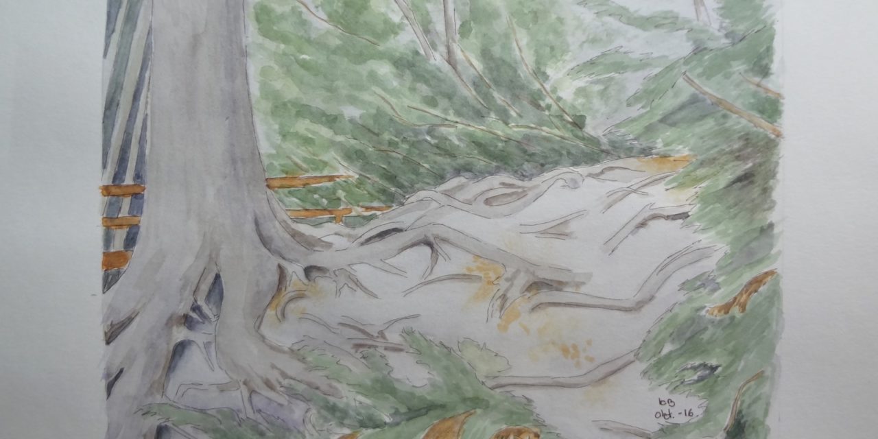 Naturen, formet af mennesker