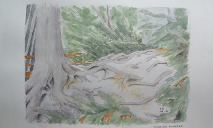 Naturen, formet af mennesker