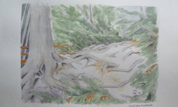 Naturen, formet af mennesker