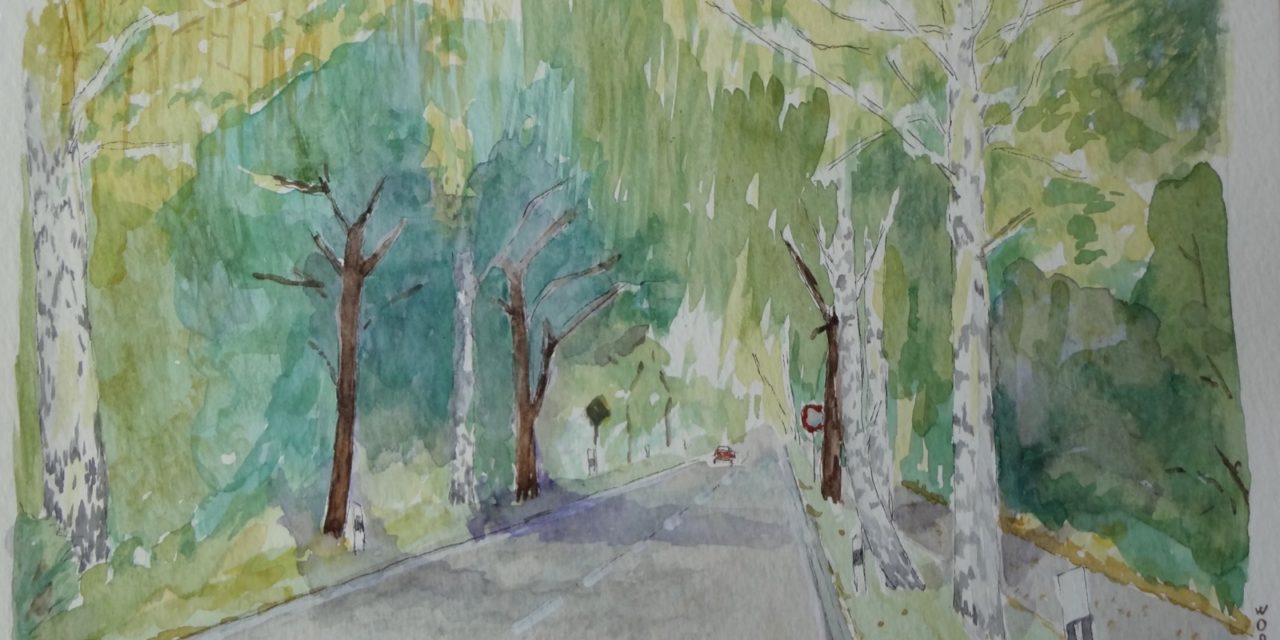 Kan man male en akvarel af efteråret?