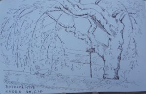 Botanisk Have, Madrid.