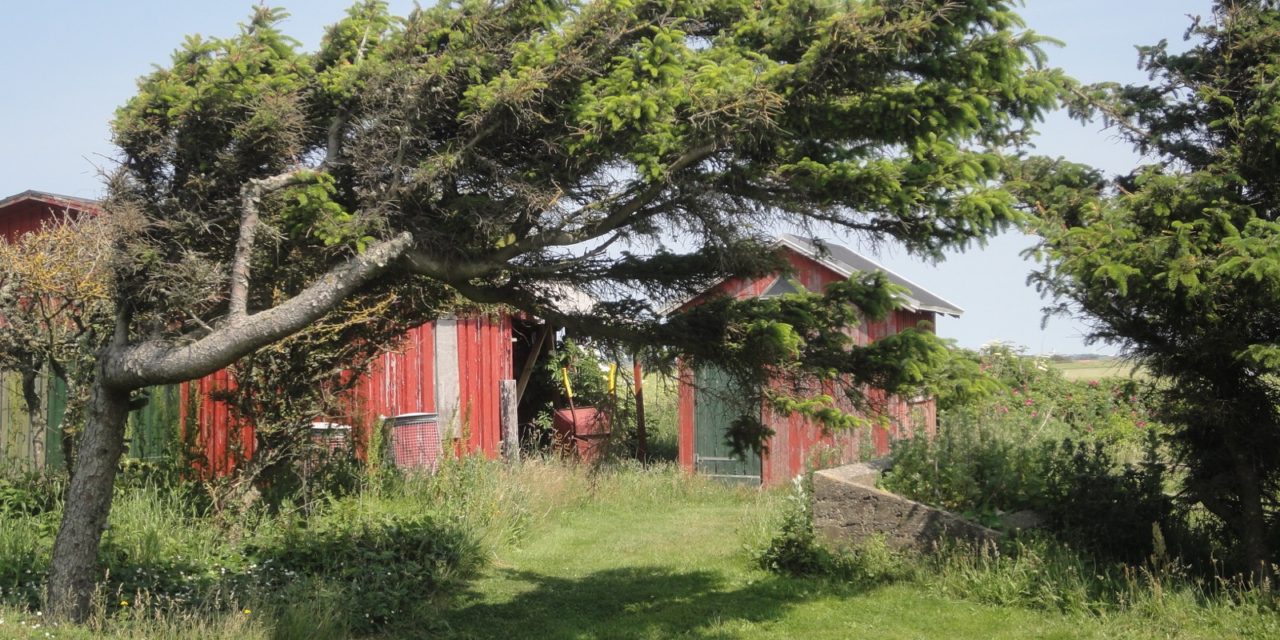 Ved Bovbjerg fyr på flere måder