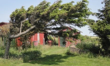 Ved Bovbjerg fyr på flere måder
