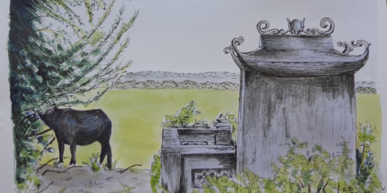 Vietnam på mange måder