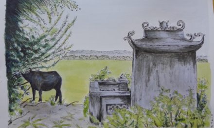 Vietnam på mange måder