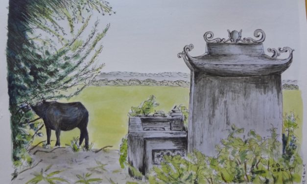 Vietnam på mange måder