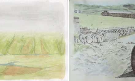 Der er udvikling i det – sæson 16-17