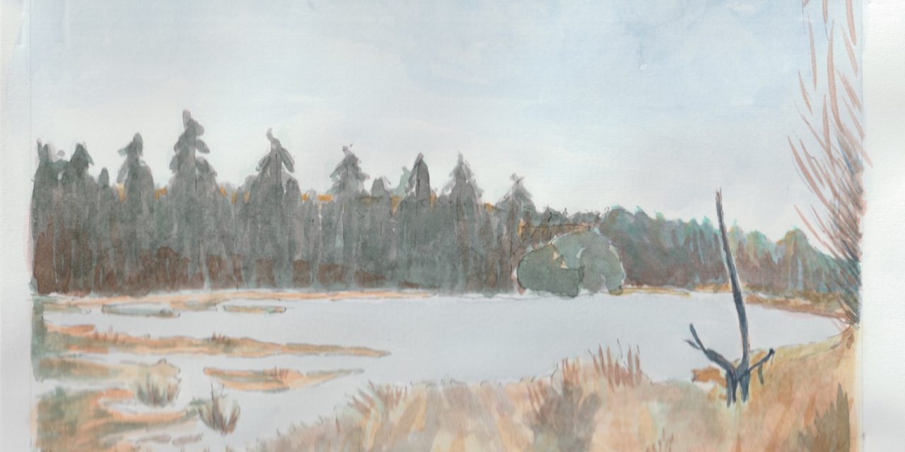 Jeg har fået ros af læreren!