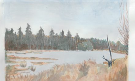 Jeg har fået ros af læreren!