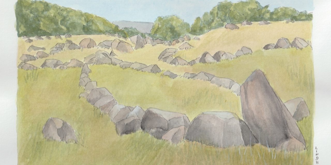 Projekt ‘Mal Nordjylland’