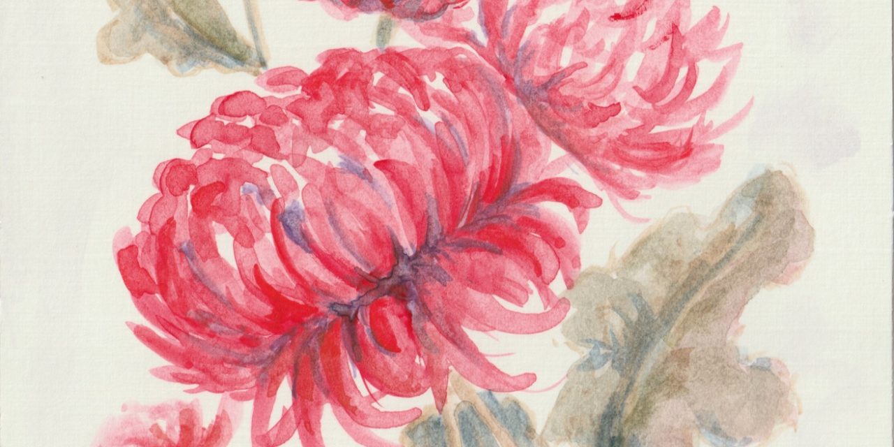 Tilbage til barndommens hood