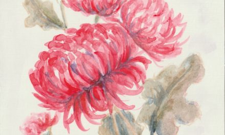 Tilbage til barndommens hood