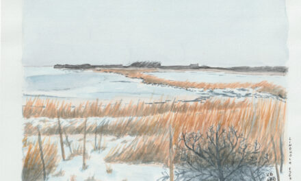 Lindholm Fjordpark 1 –  vinterstemning