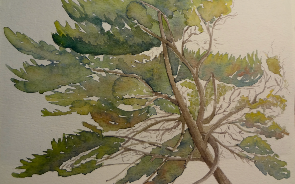 Påske 2020 – lidt godt fra rodekassen