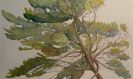 Påske 2020 – lidt godt fra rodekassen