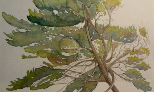 Påske 2020 – lidt godt fra rodekassen