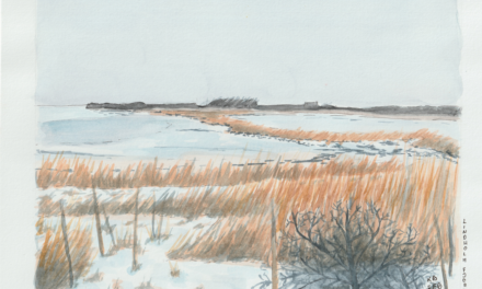 Påske 2020 – Motiver fra Aalborgs omegn